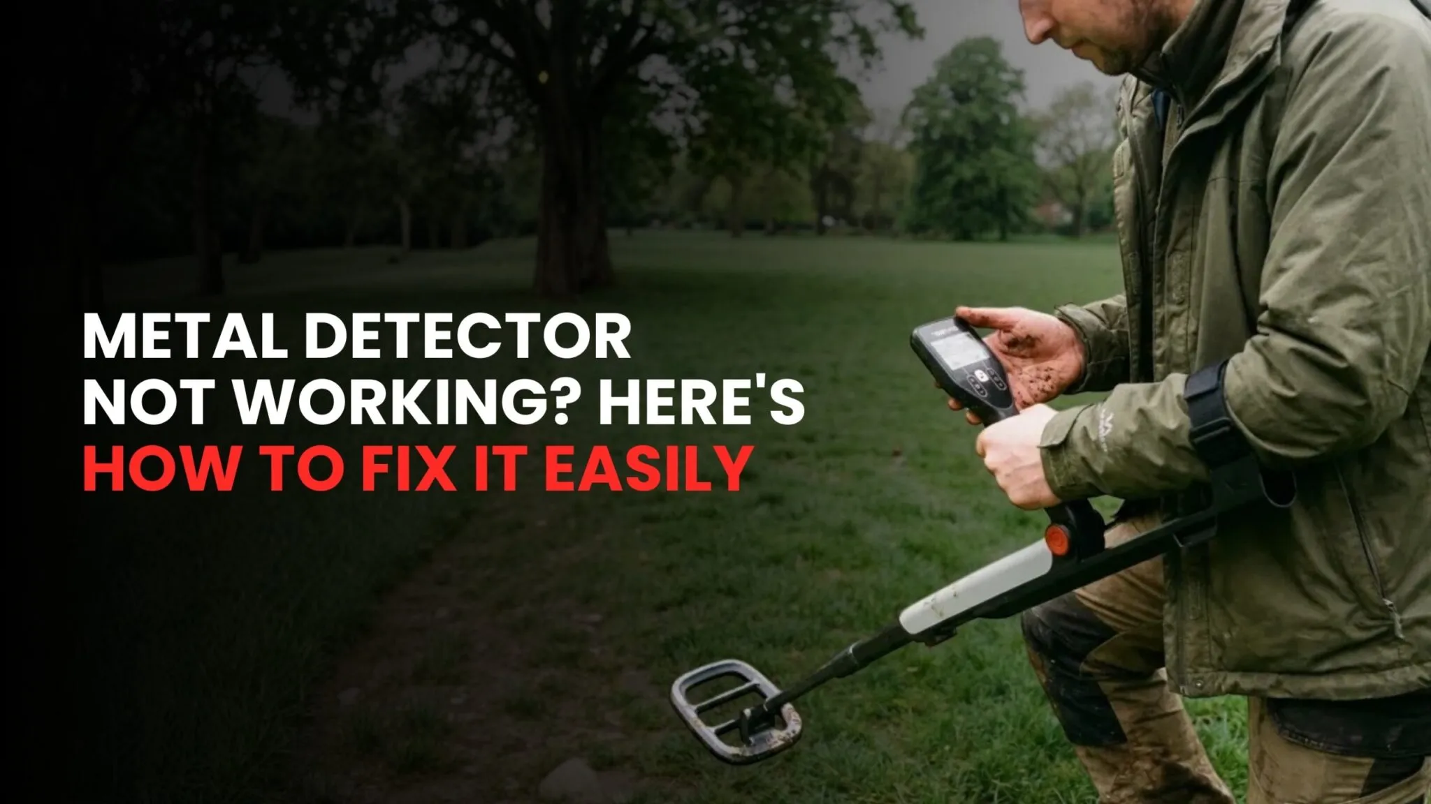 metal detector